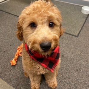 Meet your Posher, Ruby